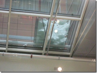 IMG_4252 IMG_4252